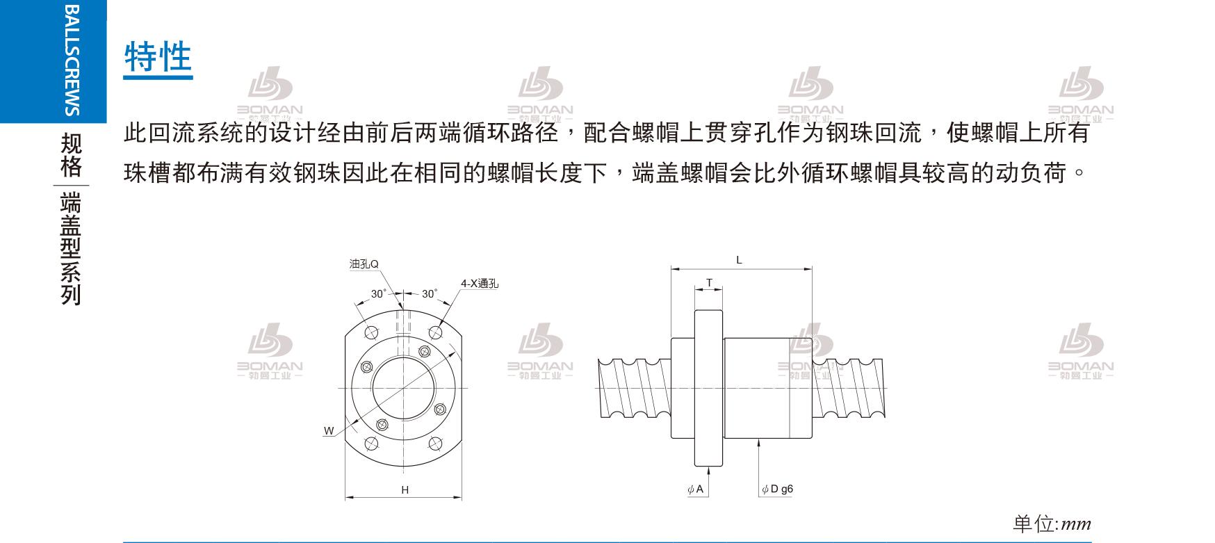 PMI FSKC1510-5.6 pmi是什么品牌的丝杆